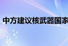 中方建议核武器国家“互不首先使用核武器”