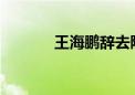 王海鹏辞去陕西省副省长职务