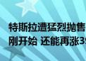 特斯拉遭猛烈抛售？Wedbush力挺：AI故事刚开始 还能再涨39%！