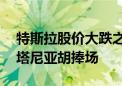 特斯拉股价大跌之际 马斯克现身国会山为内塔尼亚胡捧场