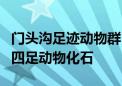 门头沟足迹动物群！京郊发现华北板块最早的四足动物化石