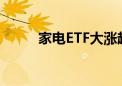 家电ETF大涨超2% 九阳股份涨停