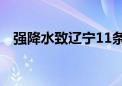 强降水致辽宁11条河流出现明显涨水过程