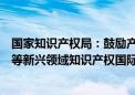 国家知识产权局：鼓励产业界更多参与数字经济、人工智能等新兴领域知识产权国际治理