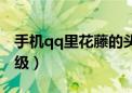 手机qq里花藤的头像怎么改（qq花藤怎么升级）