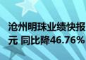 沧州明珠业绩快报：上半年净利润8823.51万元 同比降46.76%