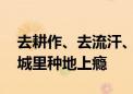 去耕作、去流汗、去收获 这些年轻人为何在城里种地上瘾