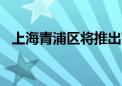 上海青浦区将推出两宗容积率为0.8的宅地