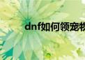 dnf如何领宠物（dnf怎么领宠物）