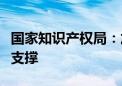 国家知识产权局：加强关键核心技术专利审查支撑