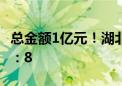 总金额1亿元！湖北拟发放3C数码产品消费券：8