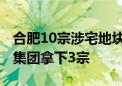 合肥10宗涉宅地块揽金51亿元 本土国企滨湖集团拿下3宗