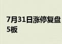 7月31日涨停复盘：大金融爆发 锦龙股份8天5板