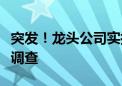 突发！龙头公司实控人、董事长被留置、立案调查