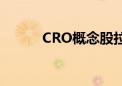 CRO概念股拉升 美迪西涨超5%