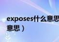 exposes什么意思中文翻译（expose是什么意思）