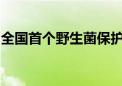 全国首个野生菌保护管理规范性文件今起施行