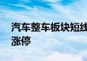 汽车整车板块短线冲高 海马汽车、安凯客车涨停