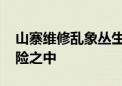 山寨维修乱象丛生 千万别把你的手机置于危险之中