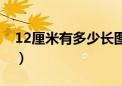 12厘米有多少长图片（12厘米有多长参照物）