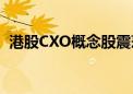 港股CXO概念股震荡走高 昭衍新药涨超6%