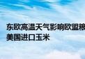 东欧高温天气影响欧盟粮食供应格局 部分欧盟成员国选择自美国进口玉米