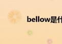 bellow是什么意思（bello）