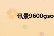 讯景9600gso图（讯景9600gt）