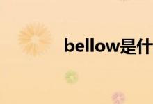 bellow是什么意思（bello）