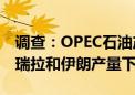 调查：OPEC石油产量在7月份基本稳定 委内瑞拉和伊朗产量下降