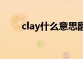 clay什么意思翻译（clay什么意思）