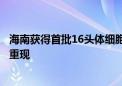 海南获得首批16头体细胞克隆猪：濒临灭绝物种得到群体性重现