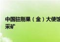 中国驻刚果（金）大使馆提醒：中国公民不得前往刚东四省采矿