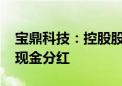 宝鼎科技：控股股东提议实施2024年度中期现金分红