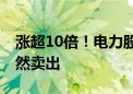 涨超10倍！电力股涨至高位 多名基金经理悄然卖出