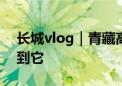 长城vlog｜青藏高原峡谷徒步2小时 只为看到它