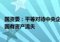 国资委：平等对待中央企业内部和外部各市场参与主体 防止国有资产流失