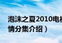 泡沫之夏2010电视剧剧情介绍（泡沫之夏剧情分集介绍）