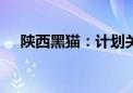 陕西黑猫：计划关闭拆除本部4.3米焦炉