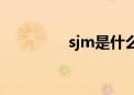 sjm是什么意思（sjm吧）