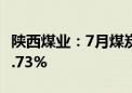 陕西煤业：7月煤炭产量1396万吨 同比增长1.73%