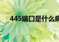 445端口是什么病毒（445端口是什么）