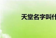 天堂名字叫什么（天堂2名字）