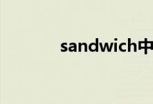 sandwich中文（sandwich）