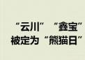 “云川”“鑫宝”在美国与游客见面 这一天被定为“熊猫日”