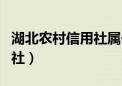 湖北农村信用社属于哪个银行（湖北农村信用社）