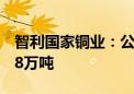 智利国家铜业：公司6月份铜产量下降至10.28万吨