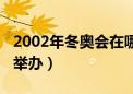 2002年冬奥会在哪开的（2002冬奥会在哪里举办）