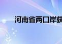 河南省两口岸获批国家智慧口岸试点