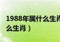 1988年属什么生肖的今年多大（1988年属什么生肖）